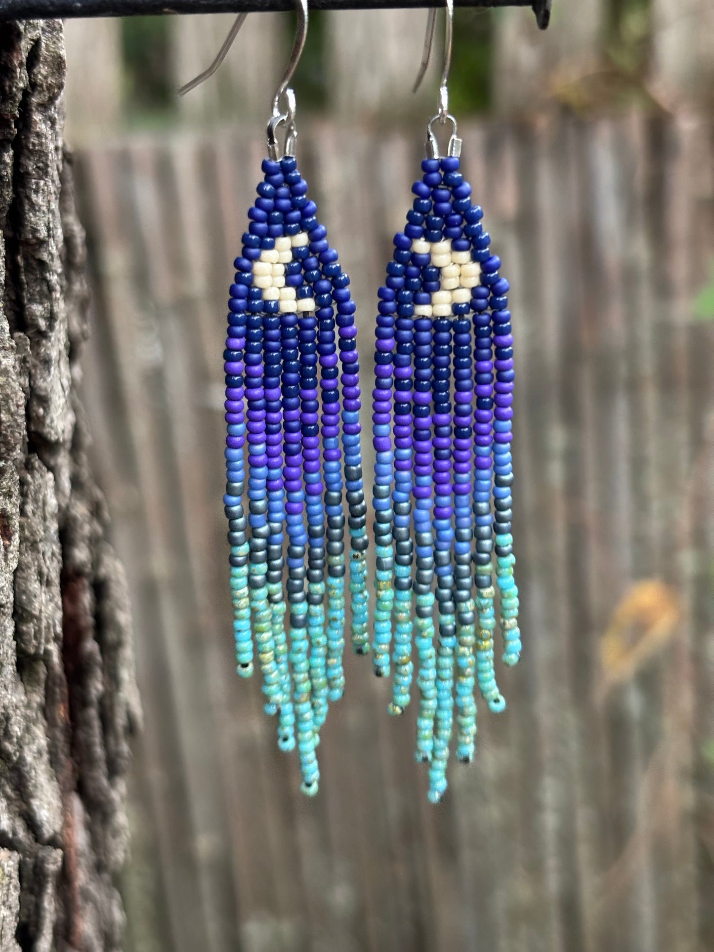 Glass Beaded Fringe Moon Earrings