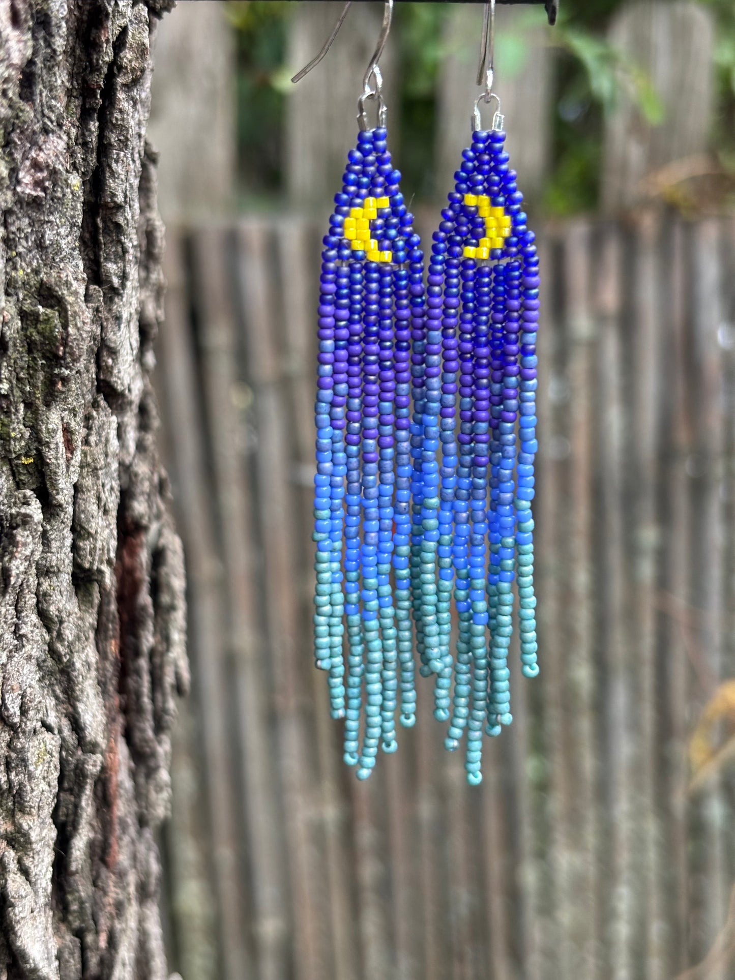 Glass Beaded Fringe Moon Earrings