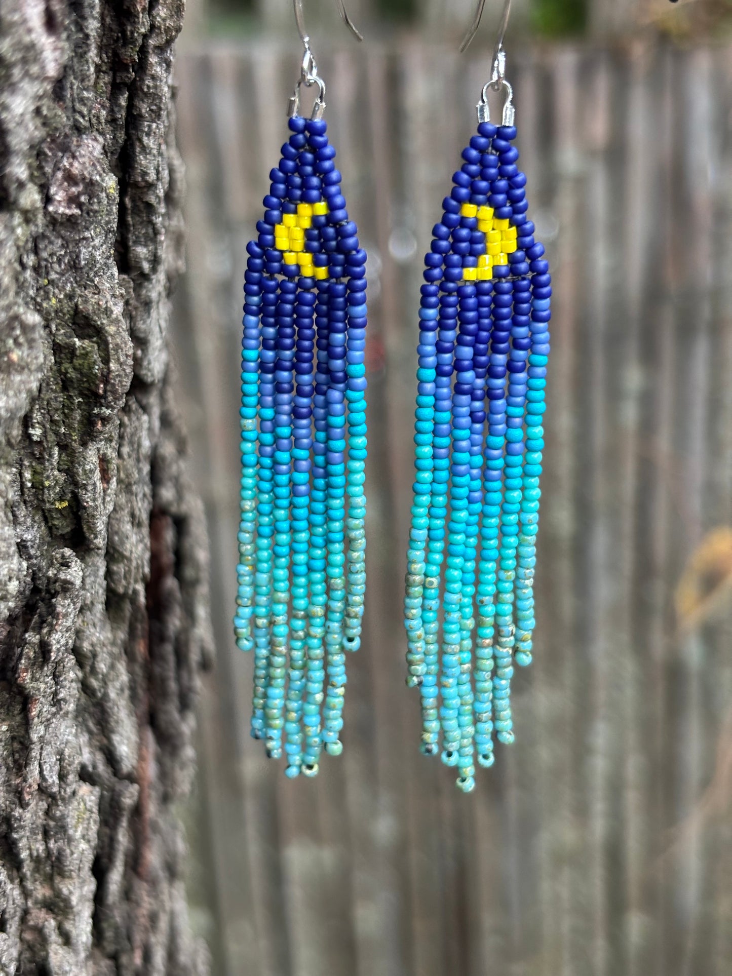 Glass Beaded Fringe Moon Earrings