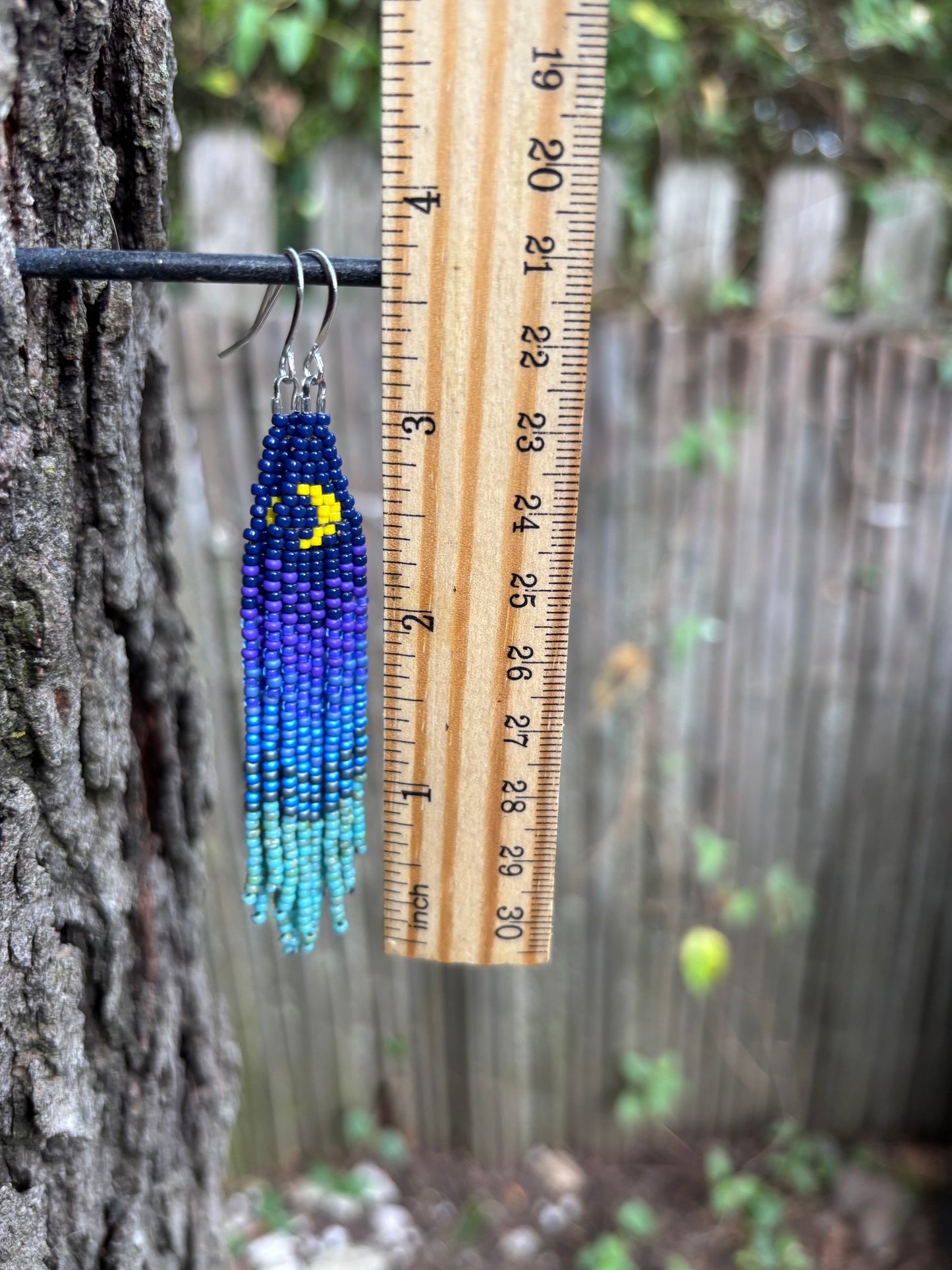 Glass Beaded Fringe Moon Earrings