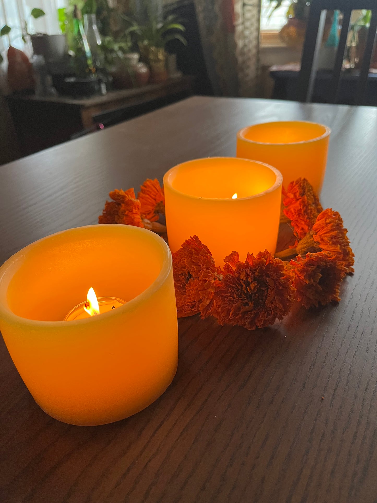 100% Pure Beeswax Luminary