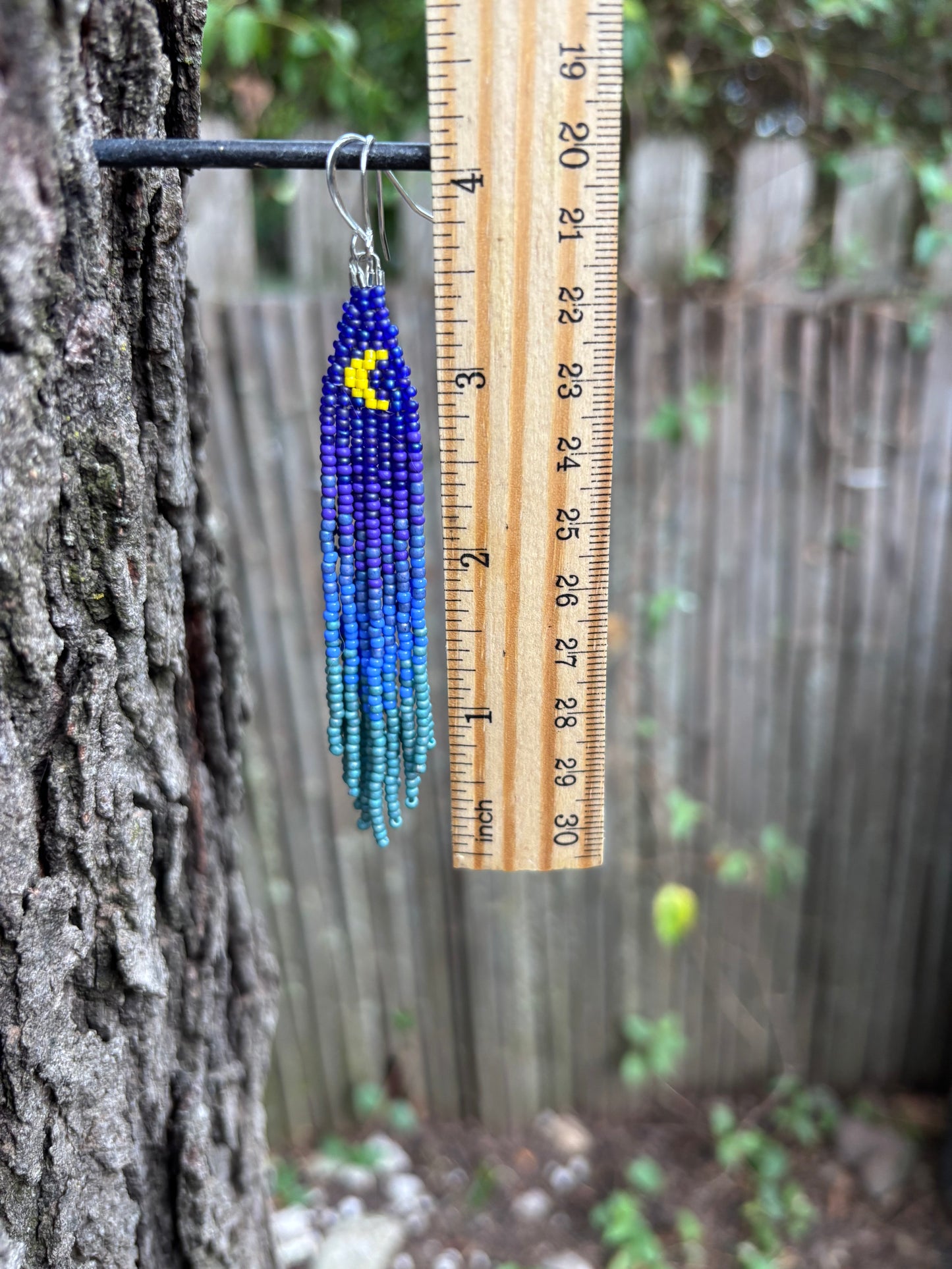Glass Beaded Fringe Moon Earrings