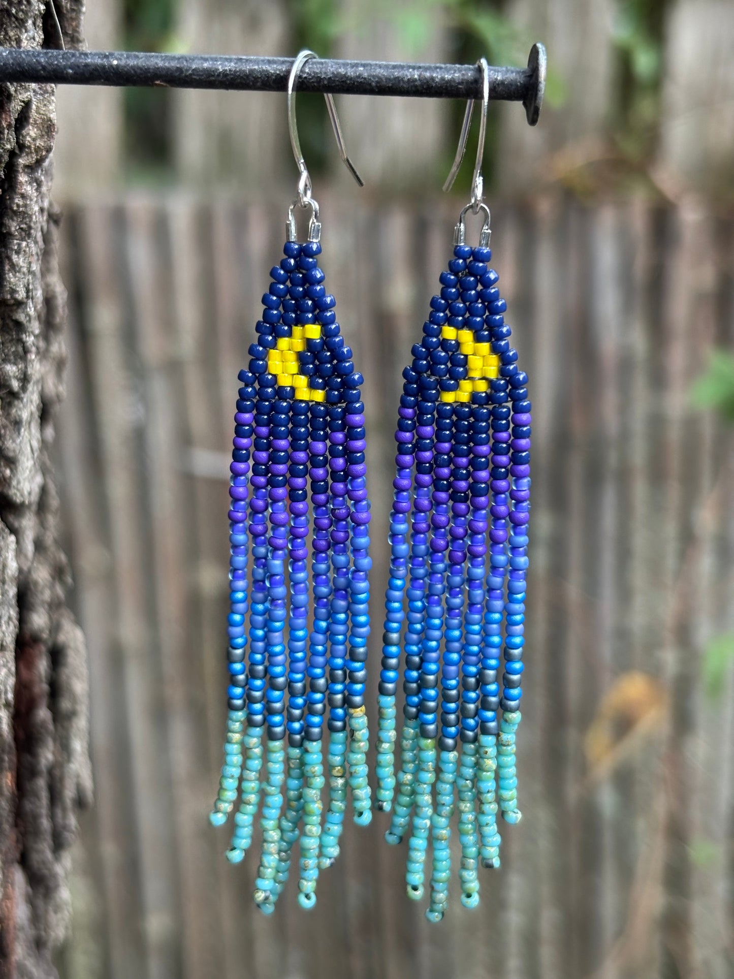 Glass Beaded Fringe Moon Earrings