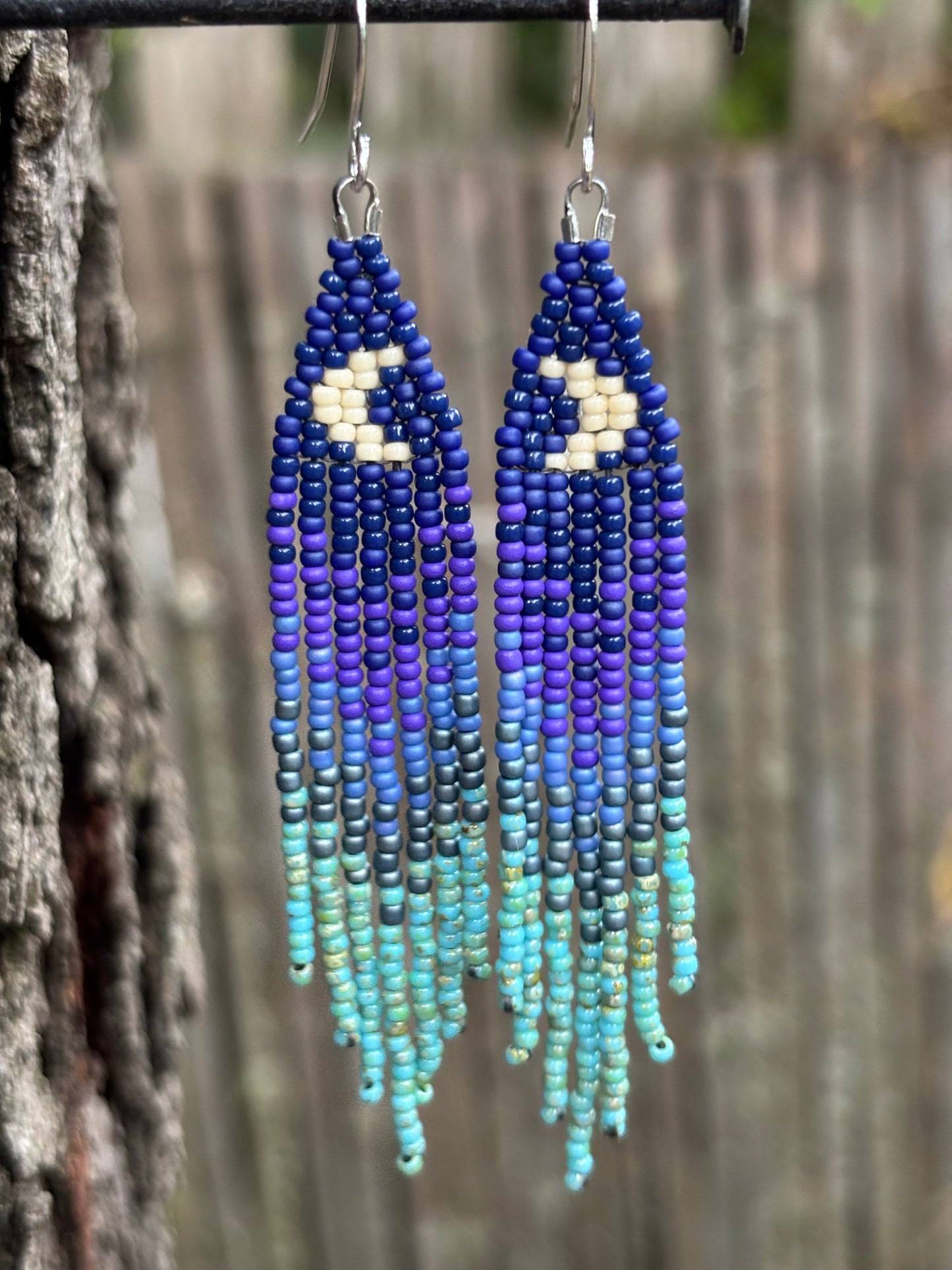 Glass Beaded Fringe Moon Earrings