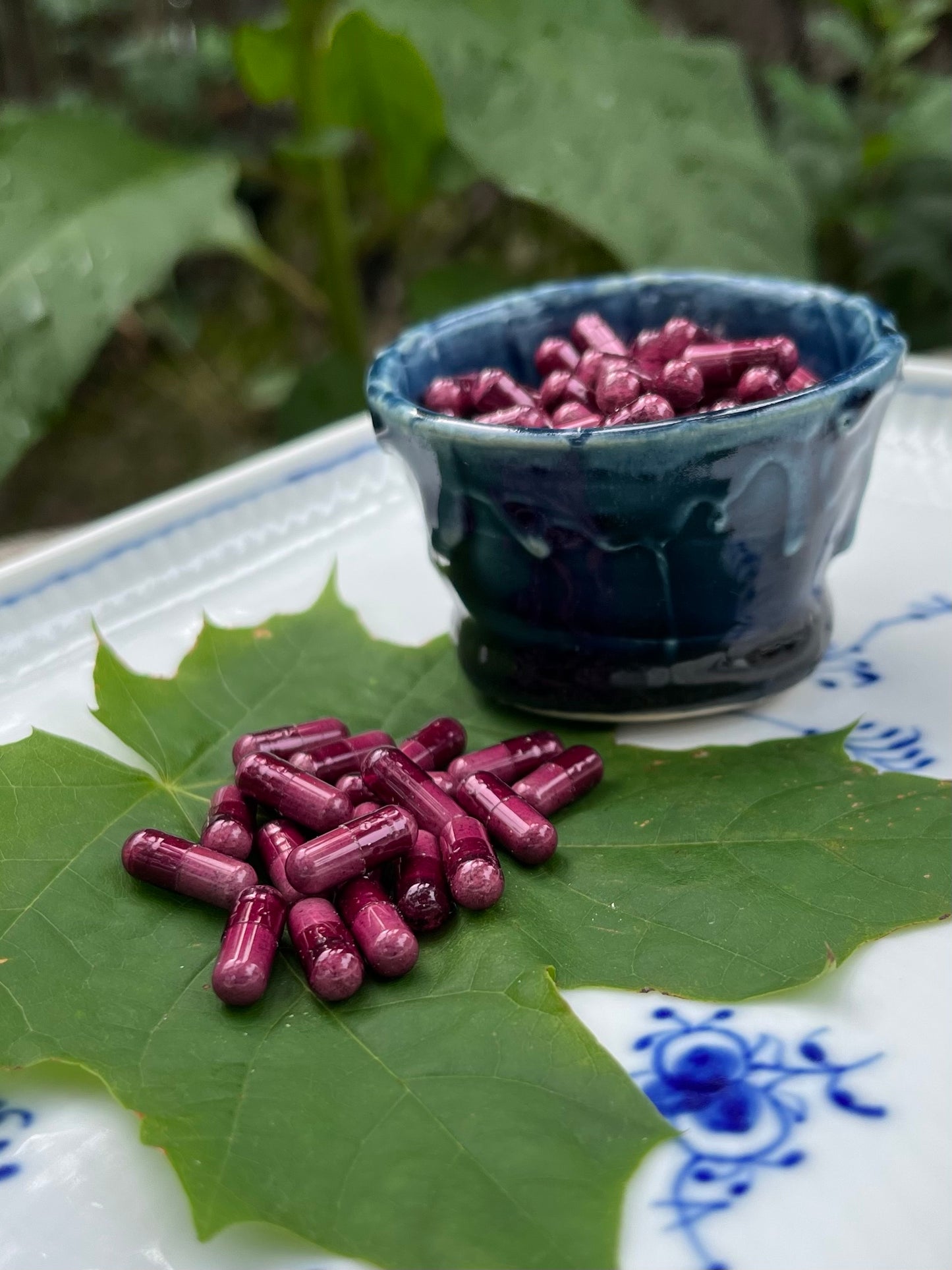 Mushroom | 30|60 Capsules