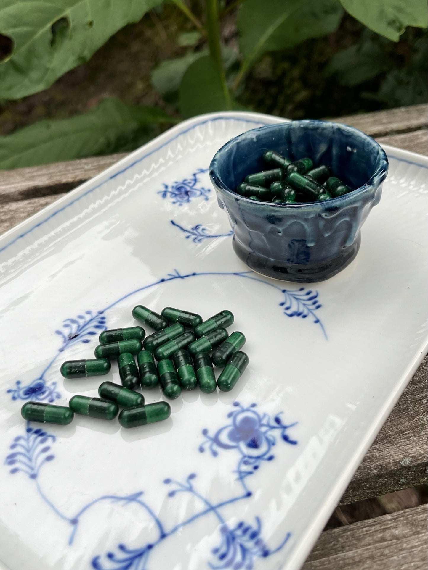 Mushroom | 30|60 Capsules