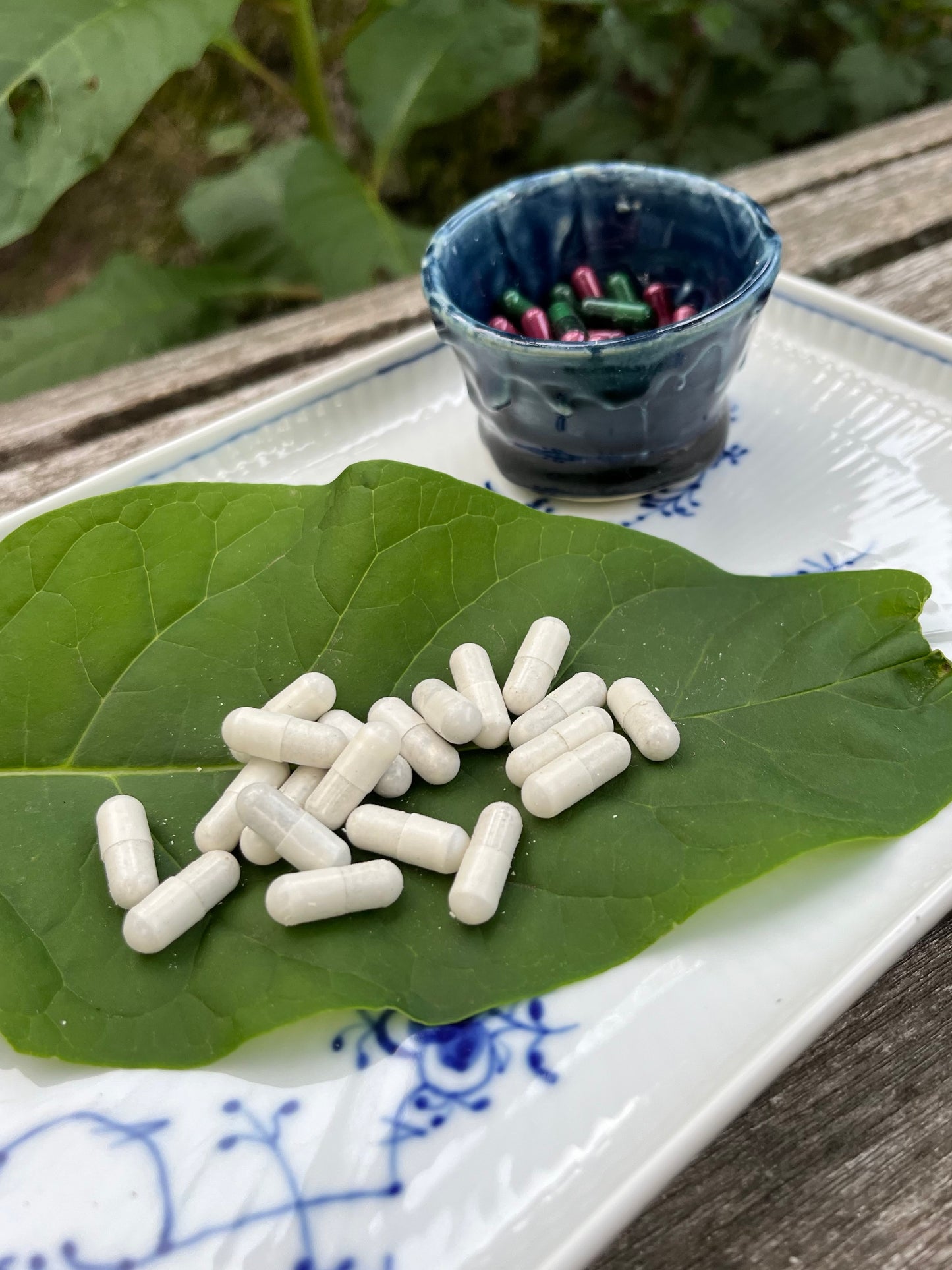 Mushroom | 30|60 Capsules