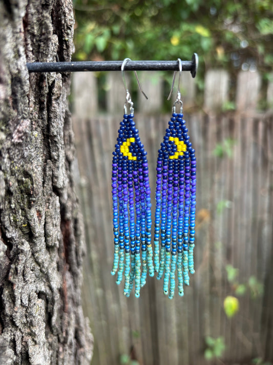 Glass Beaded Fringe Moon Earrings