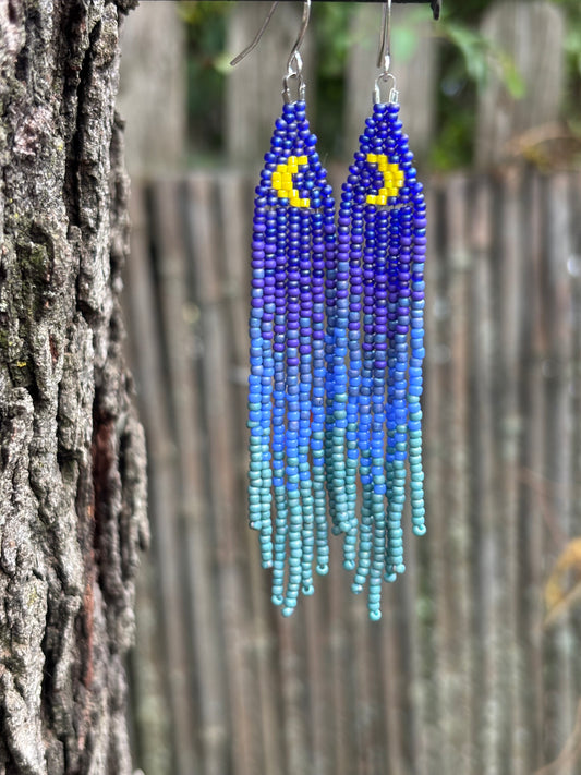 Glass Beaded Fringe Moon Earrings
