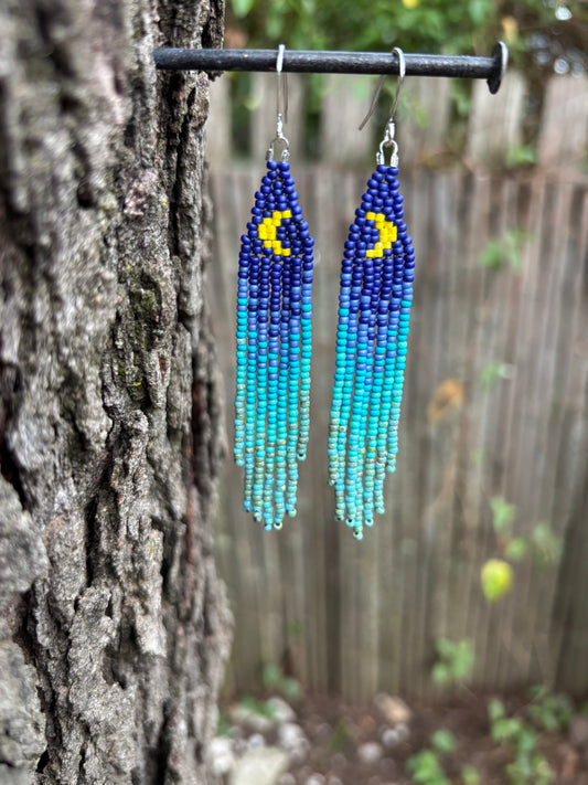 Glass Beaded Fringe Moon Earrings