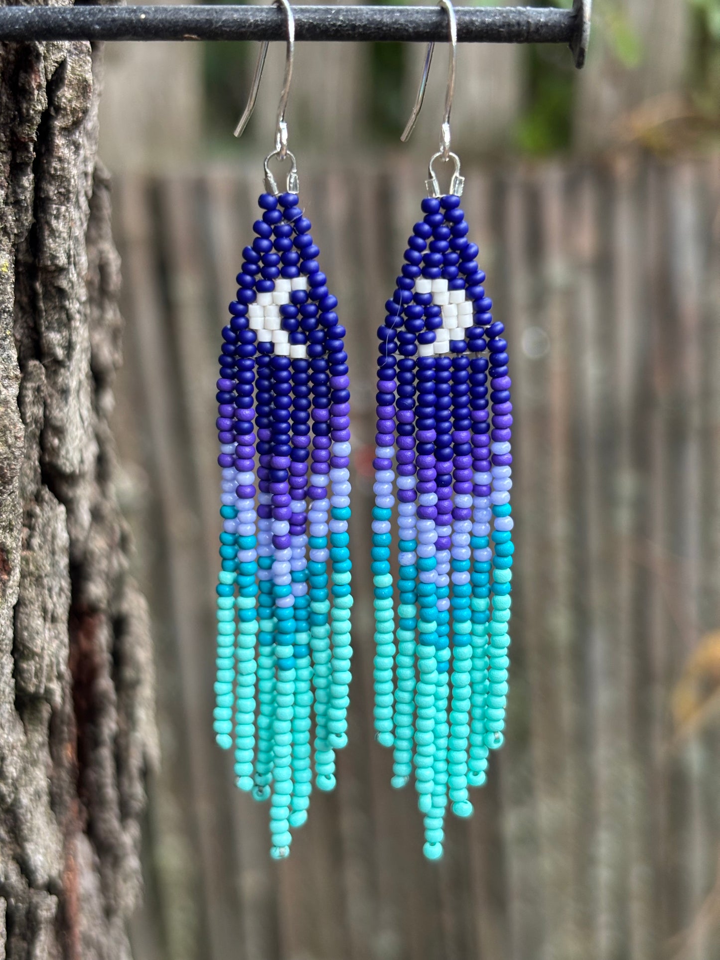 Glass Beaded Fringe Moon Earrings