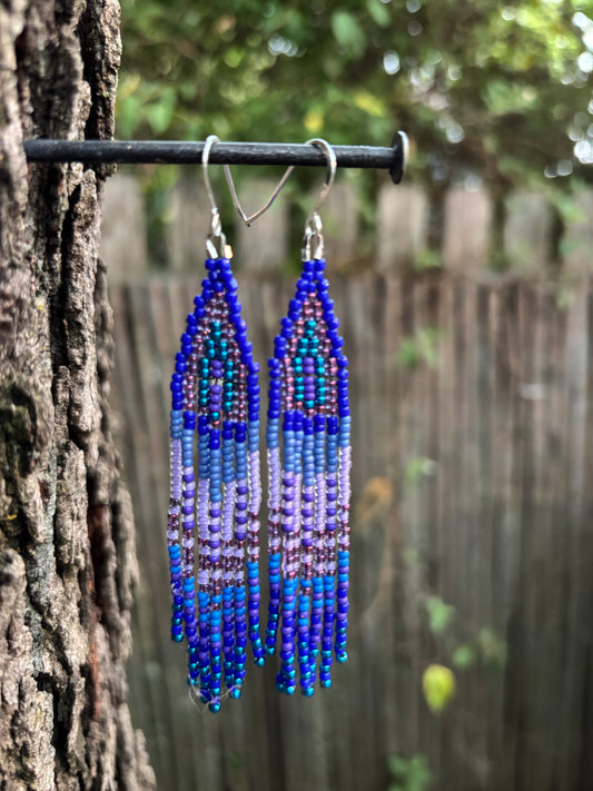 Glass Beaded Bohemian Fringe  Earrings